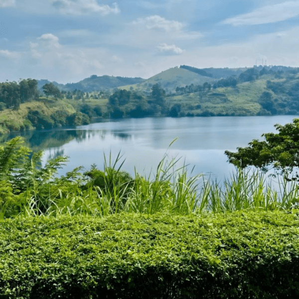 Lake Bunyonyi