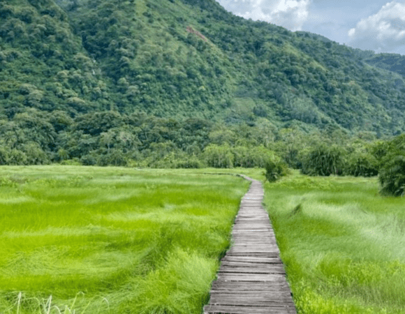 Semiliki National Park