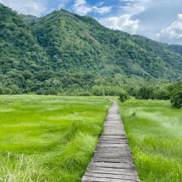 Semiliki National Park